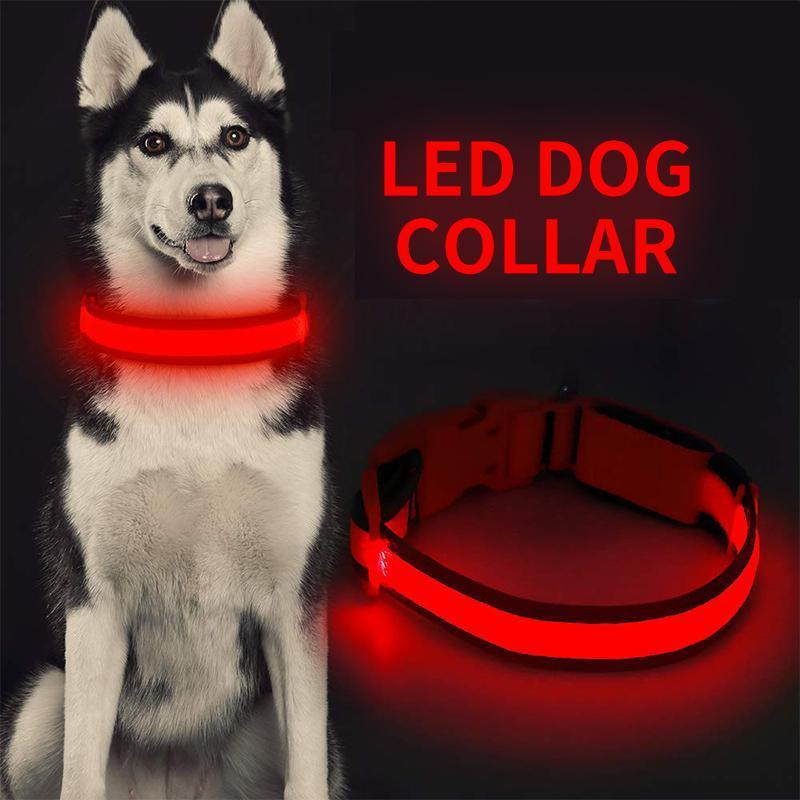 DogShine™ | LED collars for dogs