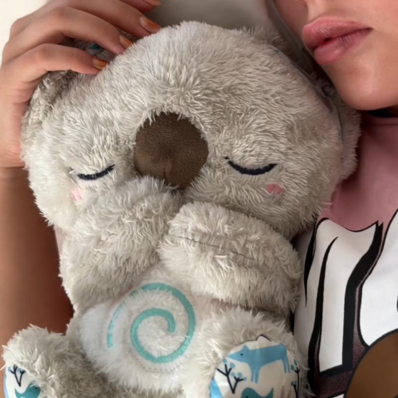 Arulla Special - Soothing Koala cuddle