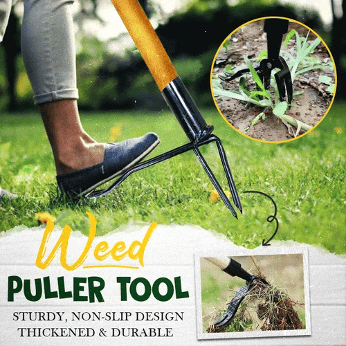 WeedX™ | Weed Puller Tools