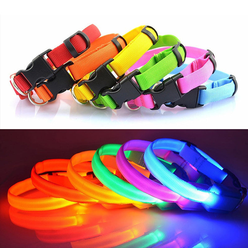 DogShine™ | LED collars for dogs