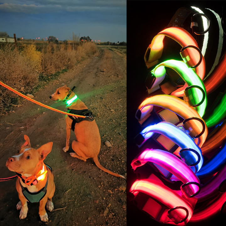 DogShine™ | LED collars for dogs