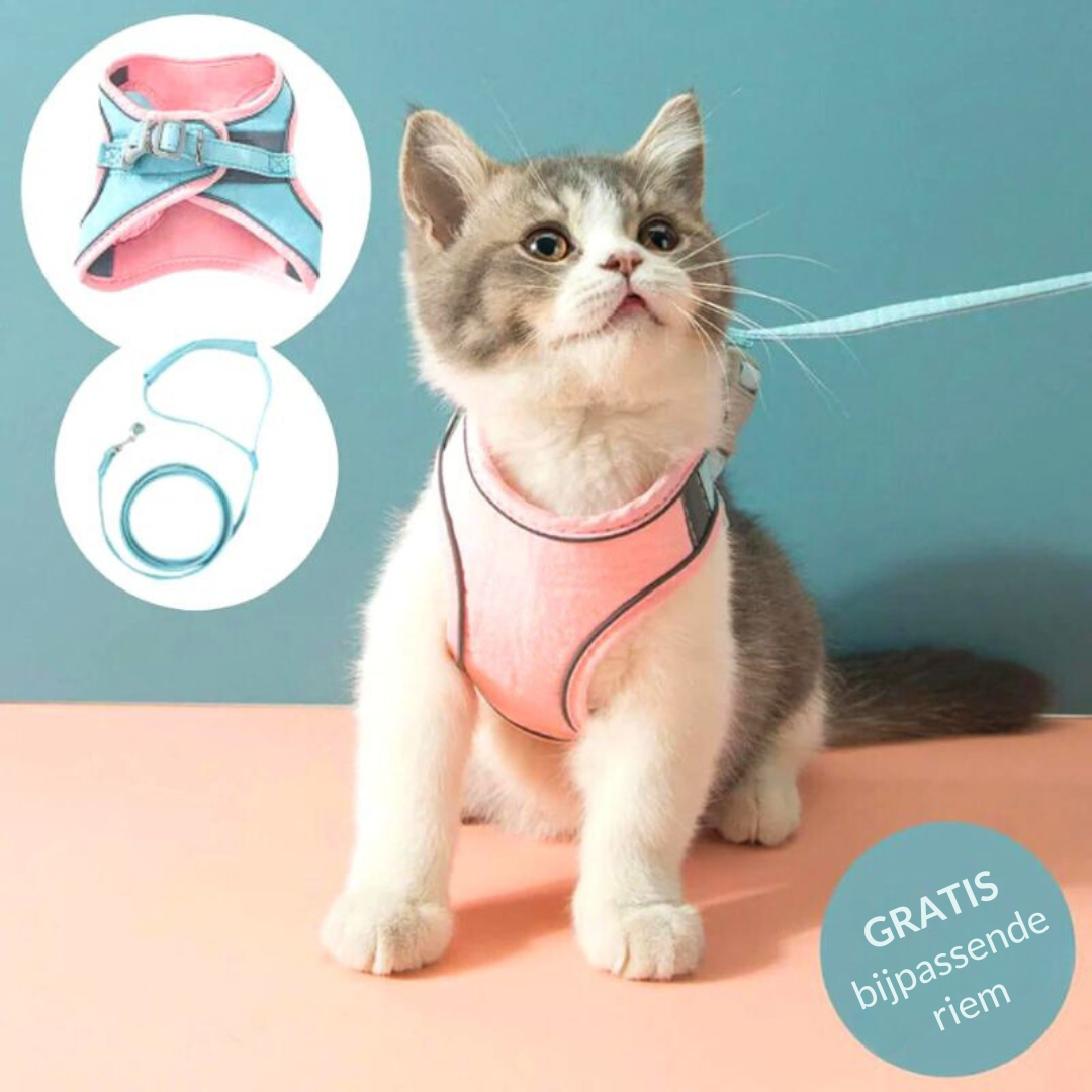 1+1 FREE | Supreme Cat Belt™ - Soft and stylish cat harness!