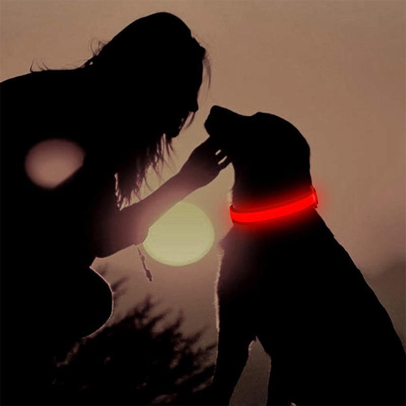 DogShine™ | LED collars for dogs