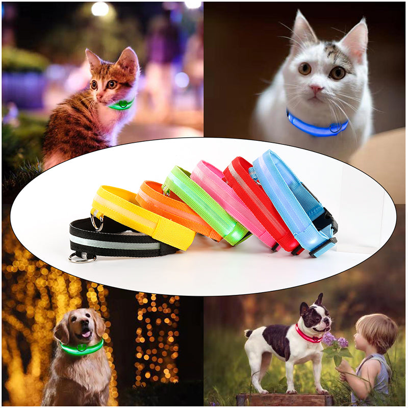 DogShine™ | LED collars for dogs