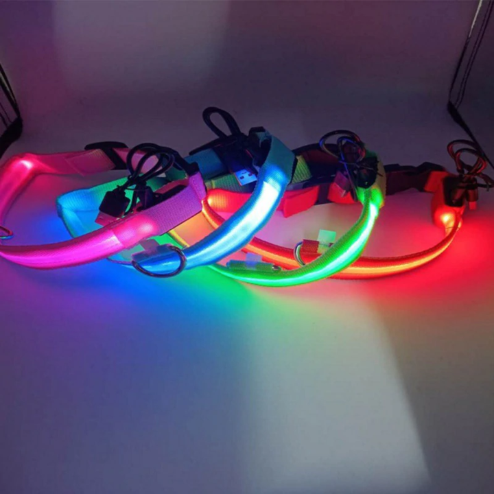 DogShine™ | LED collars for dogs