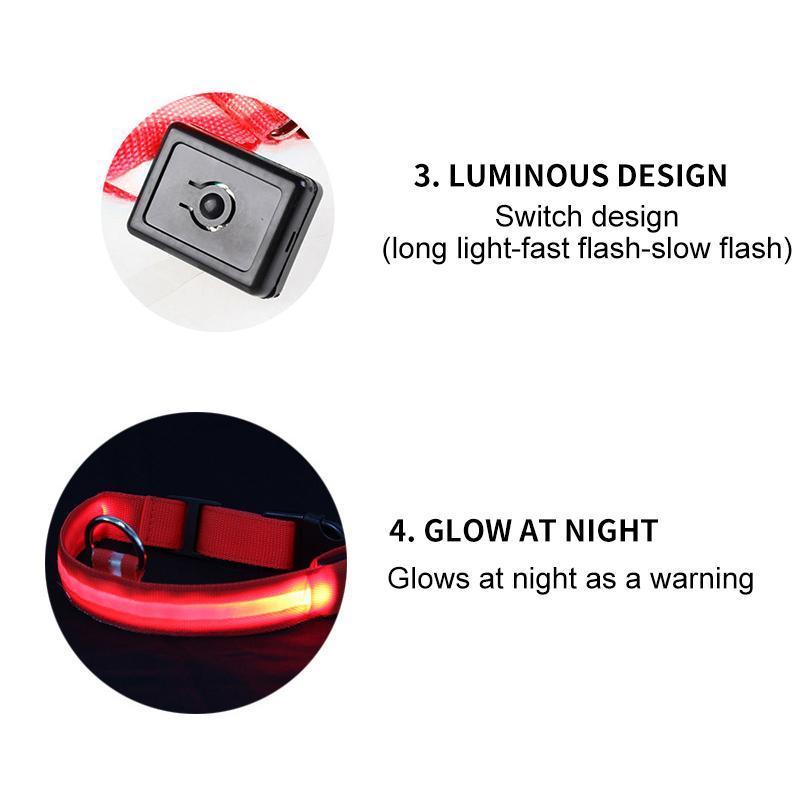 DogShine™ | LED collars for dogs