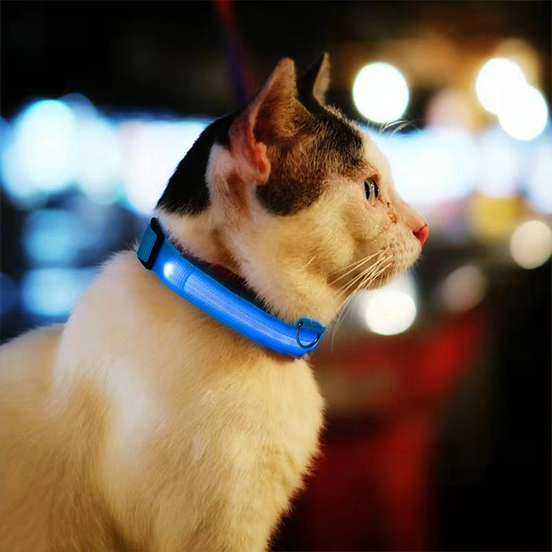 DogShine™ | LED collars for dogs