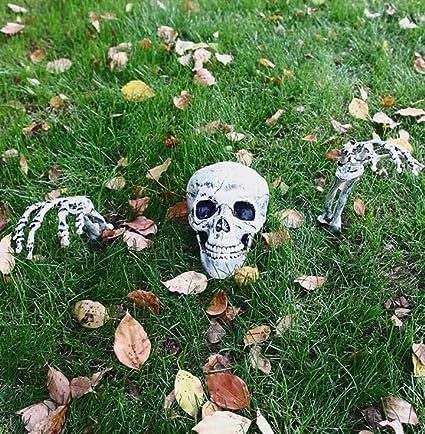 Graveyard™ skull garden decoration | 50% Discount