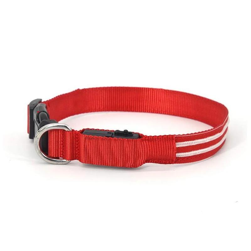 DogShine™ | LED collars for dogs