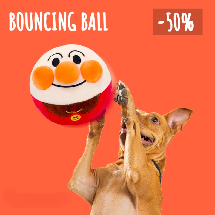 Jollyball Bouncing Ball Dog Toy