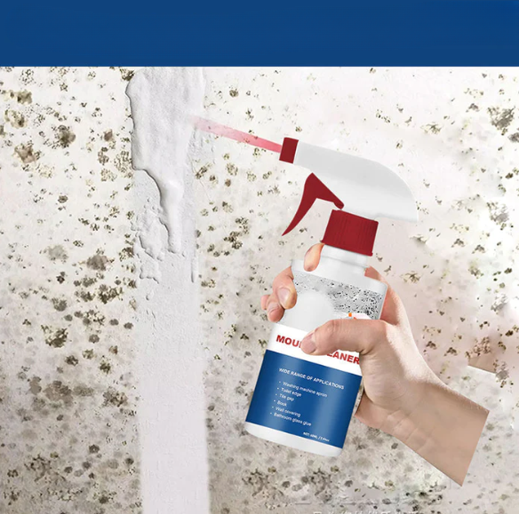 MoldGuard™ | Anti-fungal foam - 1+1 FREE