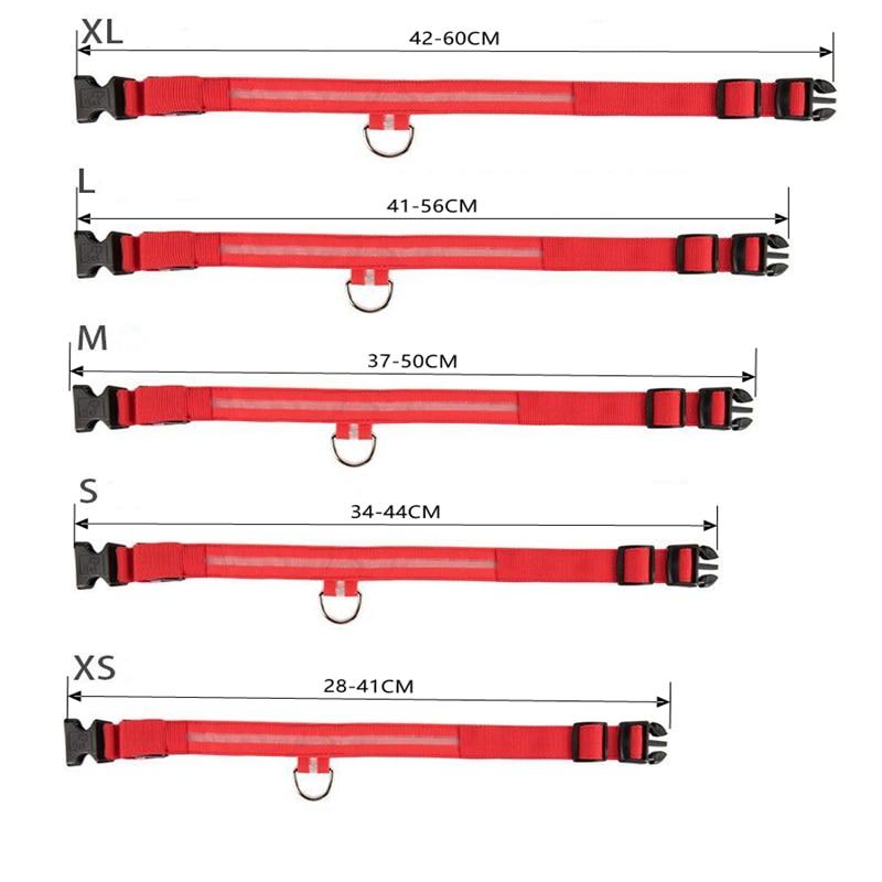 DogShine™ | LED collars for dogs