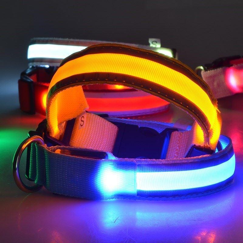 DogShine™ | LED collars for dogs