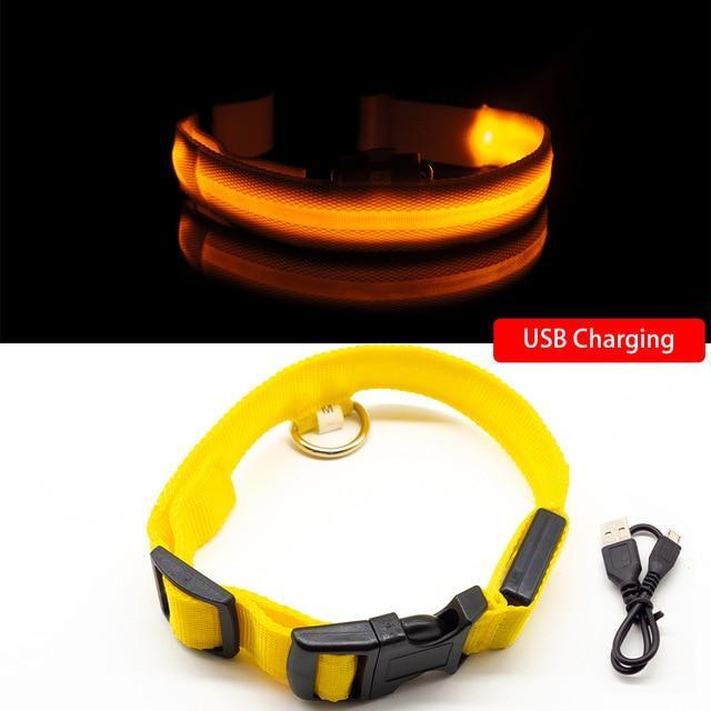 DogShine™ | LED collars for dogs