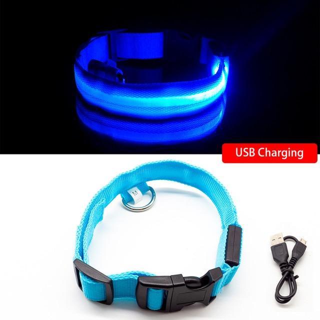 DogShine™ | LED collars for dogs