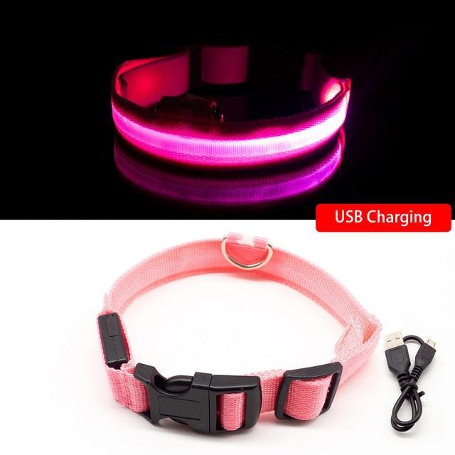 DogShine™ | LED collars for dogs