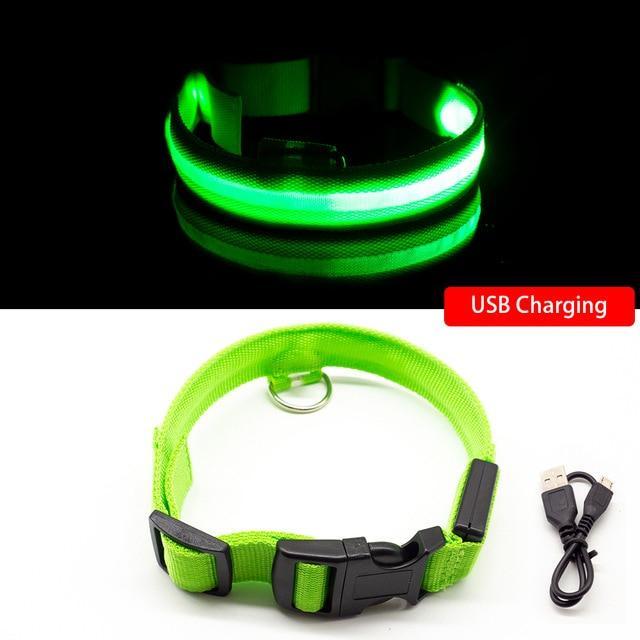 DogShine™ | LED collars for dogs