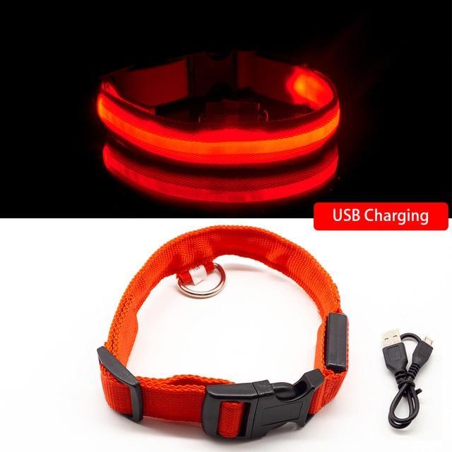 DogShine™ | LED collars for dogs